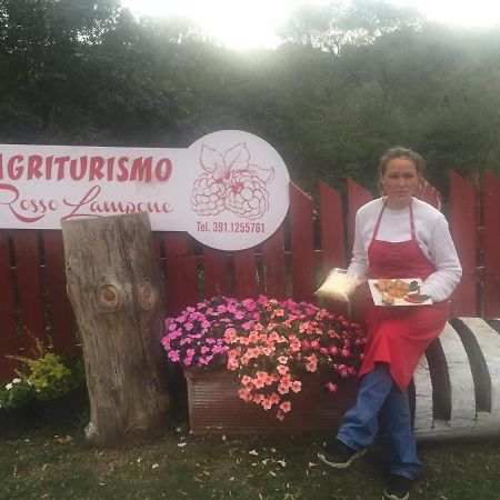 Agriturismo Rosso Lampone Cerreto Laziale Luaran gambar