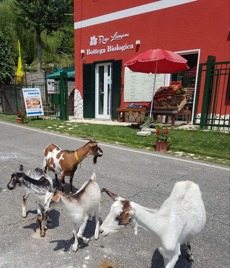 Agriturismo Rosso Lampone Cerreto Laziale Luaran gambar