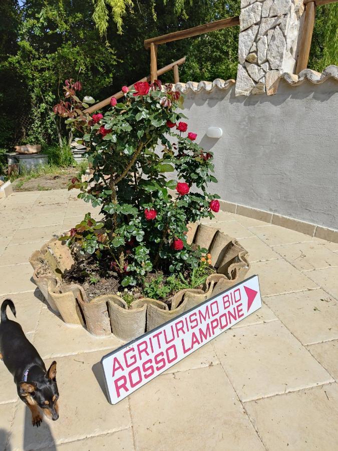 Agriturismo Rosso Lampone Cerreto Laziale Luaran gambar